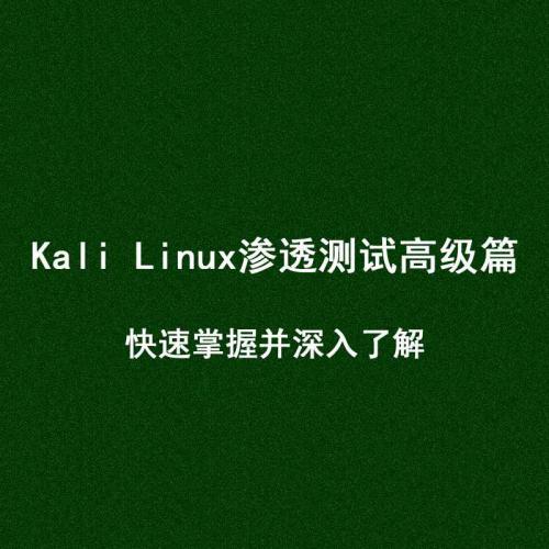 Kali Linux渗透测试高级篇：快速掌握并深入了解 视频教程